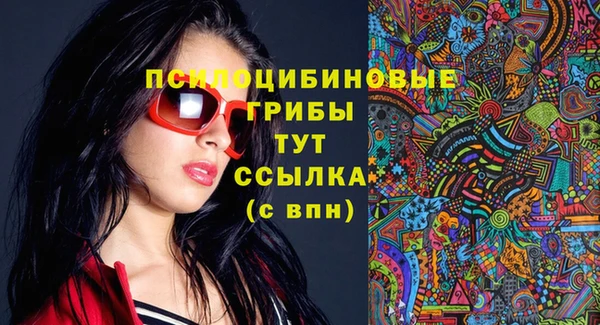 ГАЛЛЮЦИНОГЕННЫЕ ГРИБЫ Березники